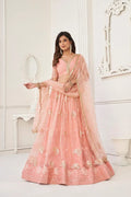 Elegant Peach Net Embroidered Lehenga Choli