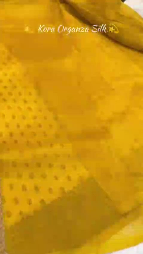 Gul Banarasi Handloom Kora Organza Silke Saree