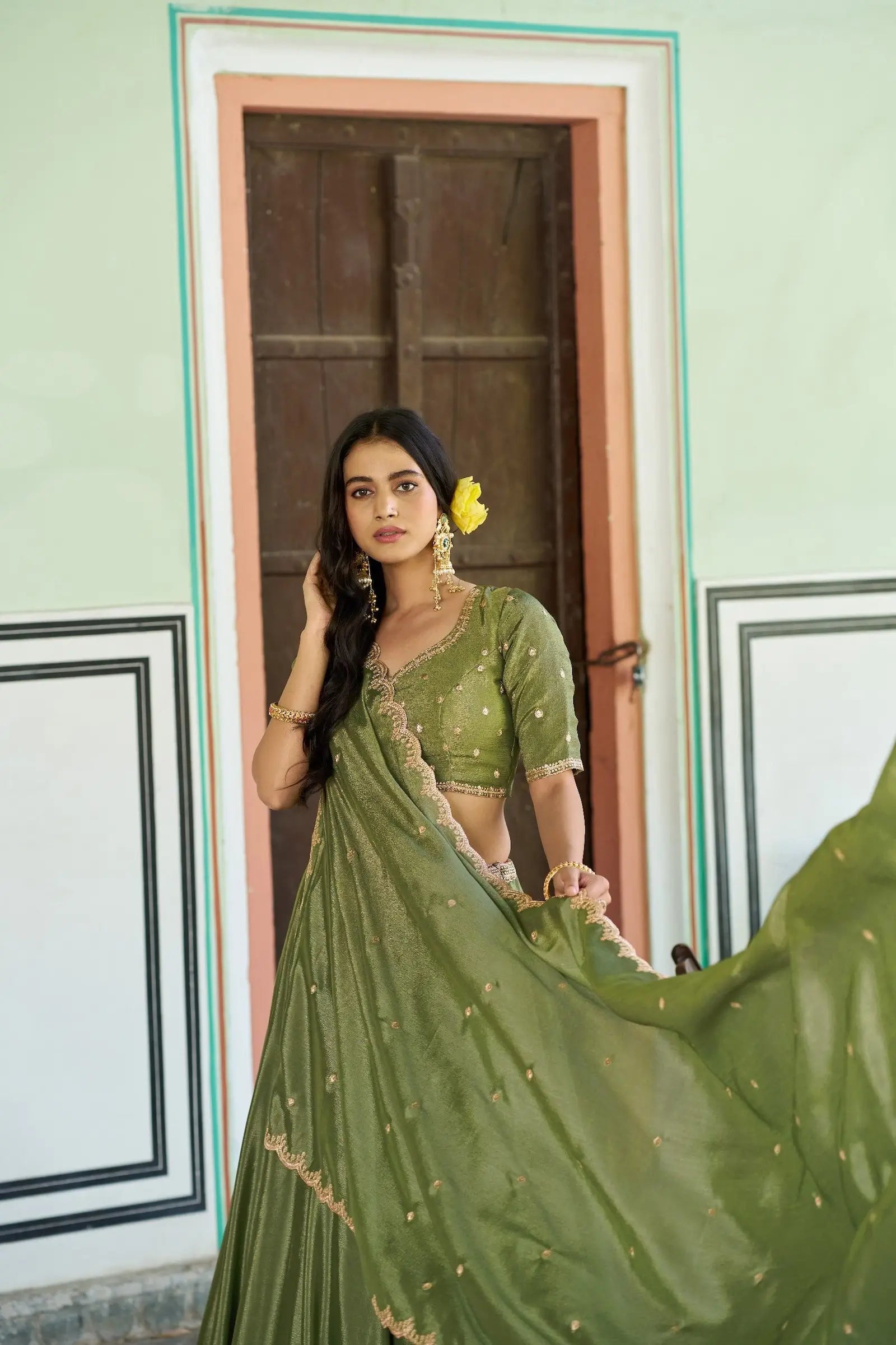 Soft Green Styilsh Embroiderd Lehenga Choli