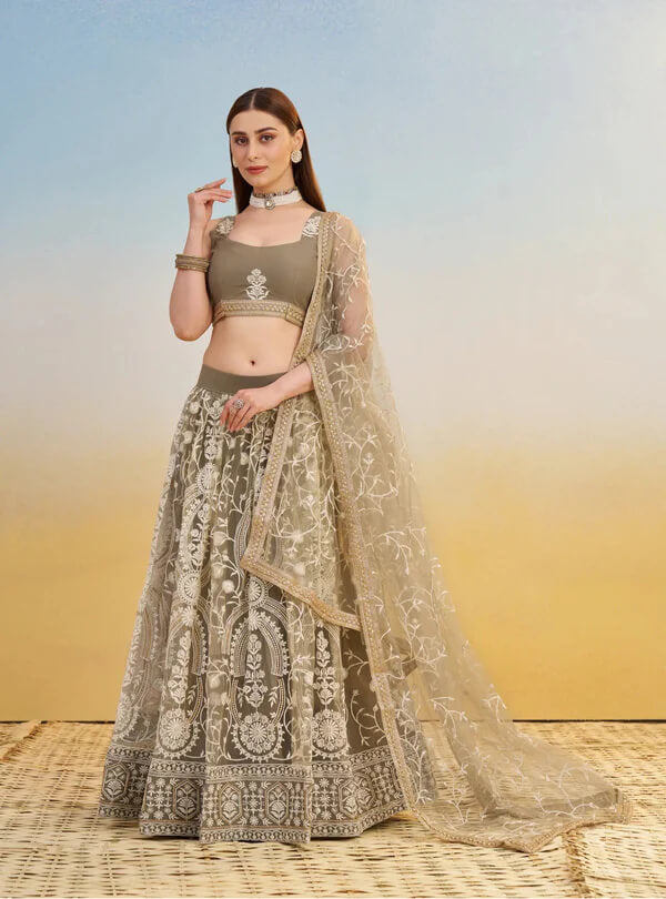 Dark Beige Net Embroidered Lehenga Choli with Sequins