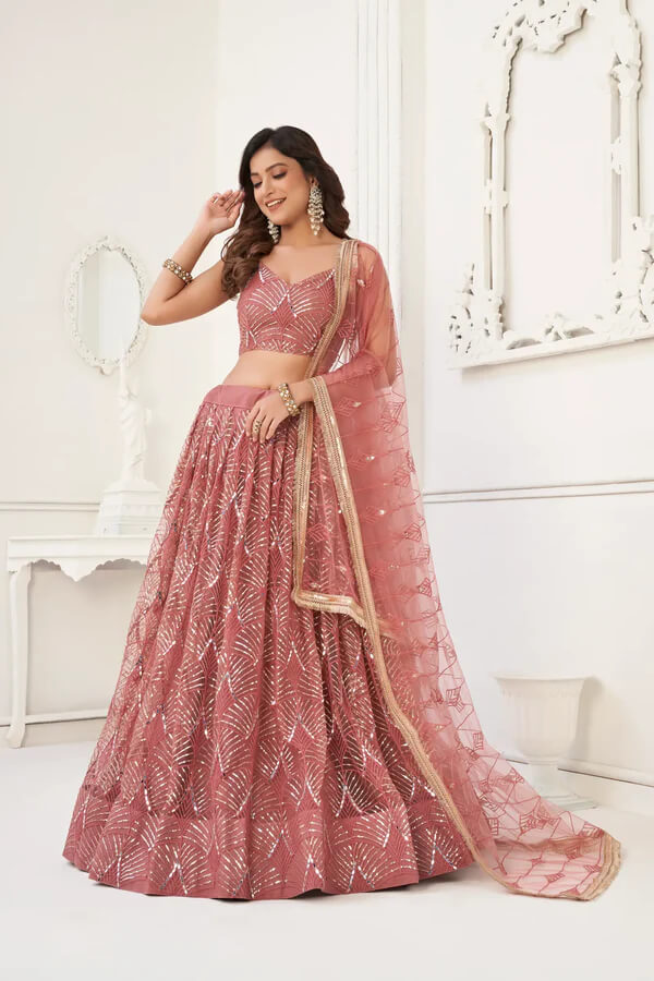 Dusty Onion Embroidered Net Lehenga Choli
