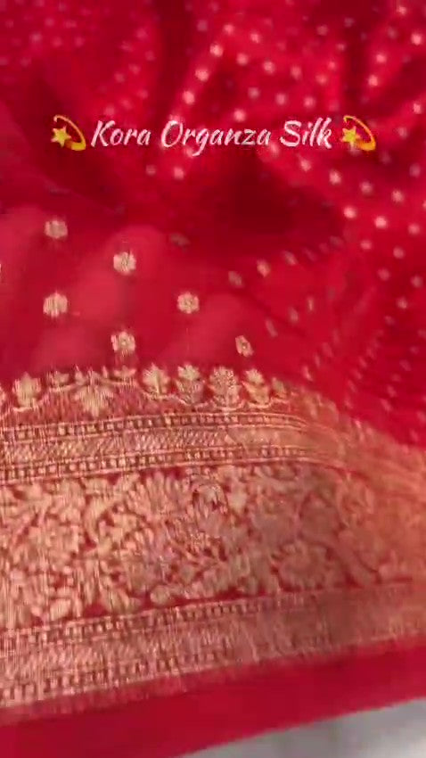 Red Banarasi Handloom Kora Organza Silk Saree