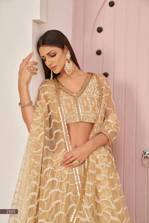 Dark Beige Thread Sequins Embroidery Net Lehenga Choli