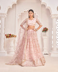 Light Onion Zari Sequins Embroidery Net Lehenga Choli