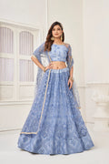 Grayish Blue Thread Sequins Embroidery Net Lehenga Choli