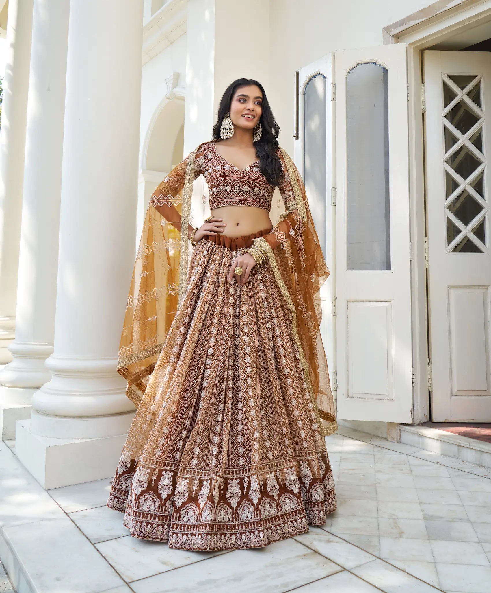 Brown Thread Sequins Embroidery Net Lehenga Choli