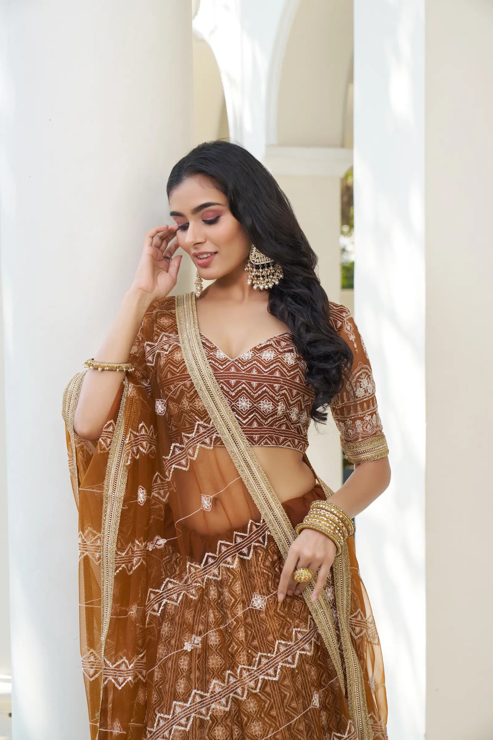 Brown Thread Sequins Embroidery Net Lehenga Choli