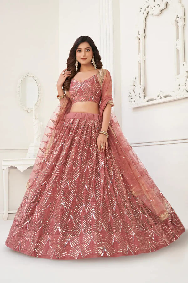 Dusty Onion Embroidered Net Lehenga Choli