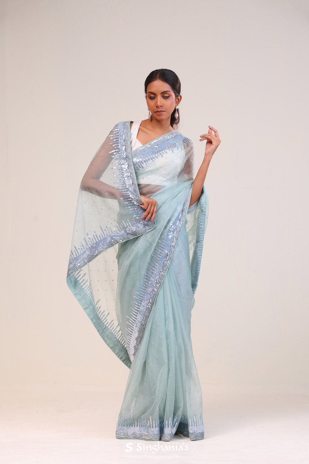 Powder Blue Hand Embroidered Organza Silk Saree