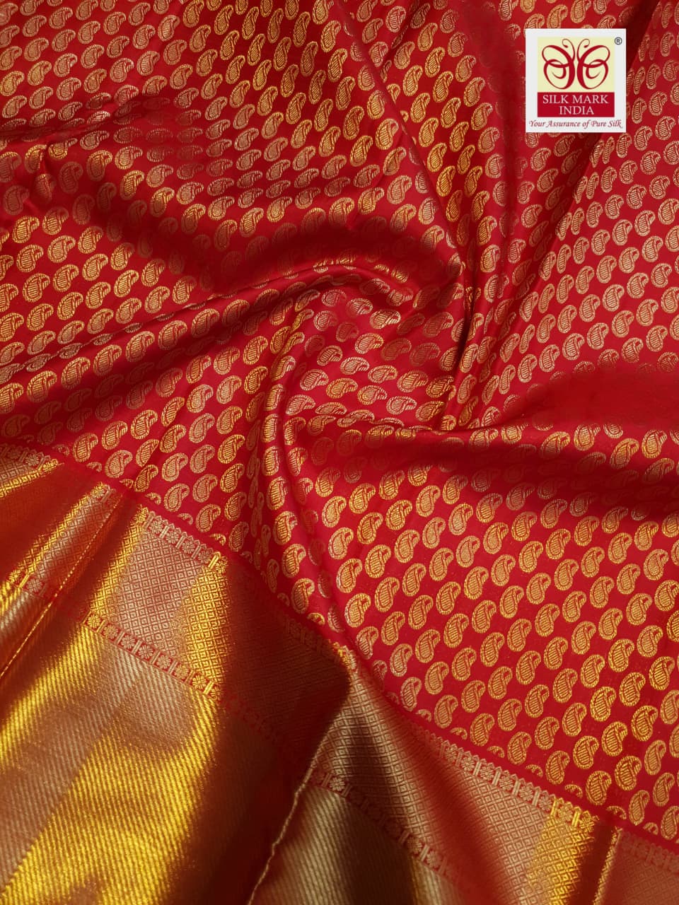 Chilly Red Kanchipuram Handloom 2G Gold Pattu Silk Saree