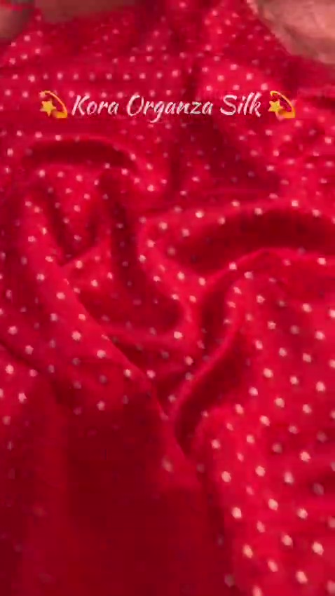 Red Banarasi Handloom Kora Organza Silk Saree