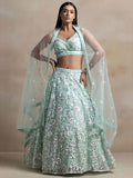 Sky Blue Net Lehenga With Multiple Sequins