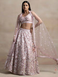 Light Pink Net Lehenga With Multiple Sequins