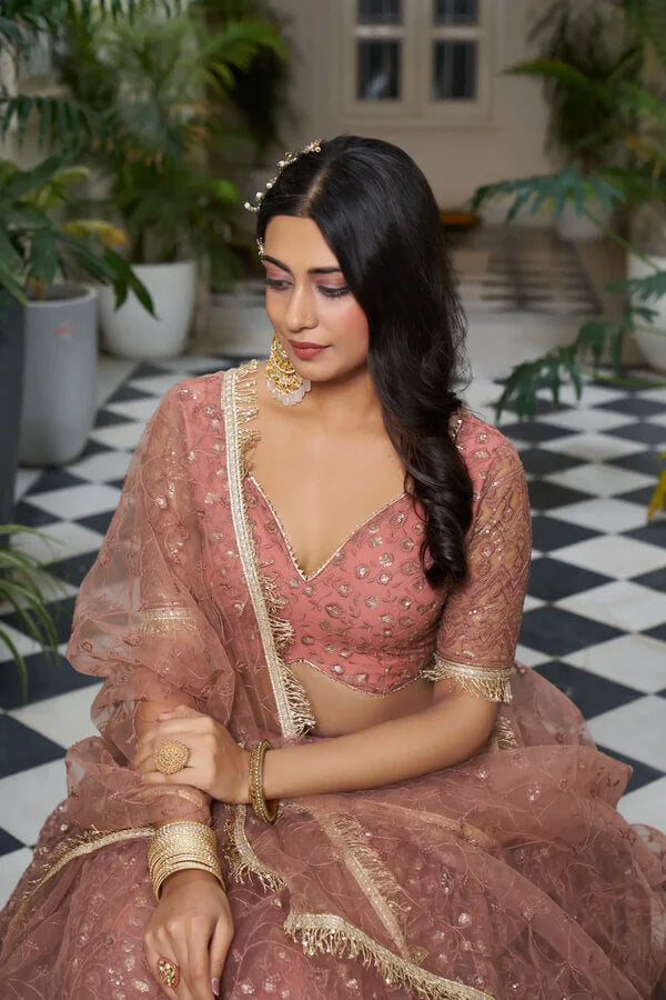 Elegant Rust Brown Net Embroidered Lehenga Choli