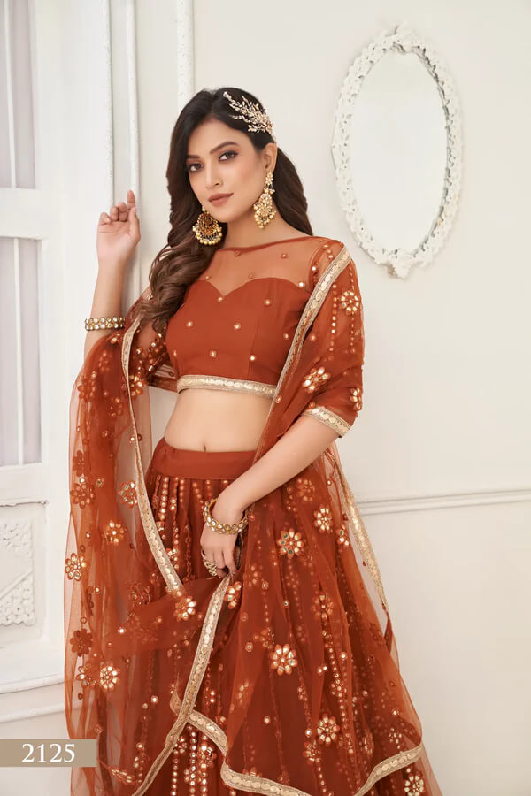 Elegant Brown Net Lehenga with Fancy Lace Detailing