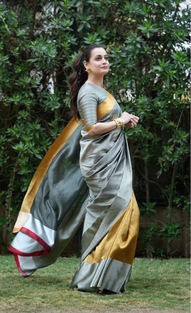 Grey Chanderi Handloom Pattu Silk Mashru Borders Saree