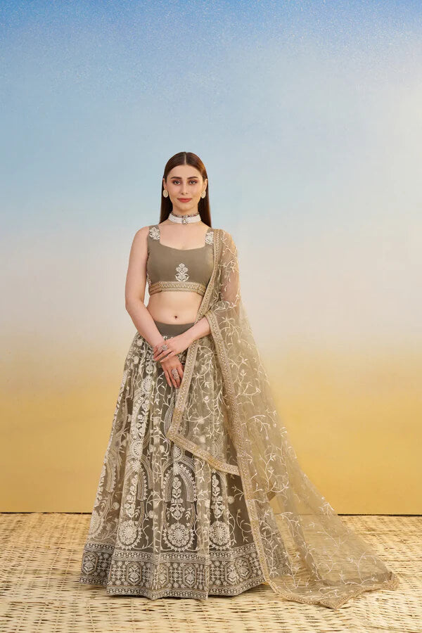 Dark Beige Net Embroidered Lehenga Choli with Sequins