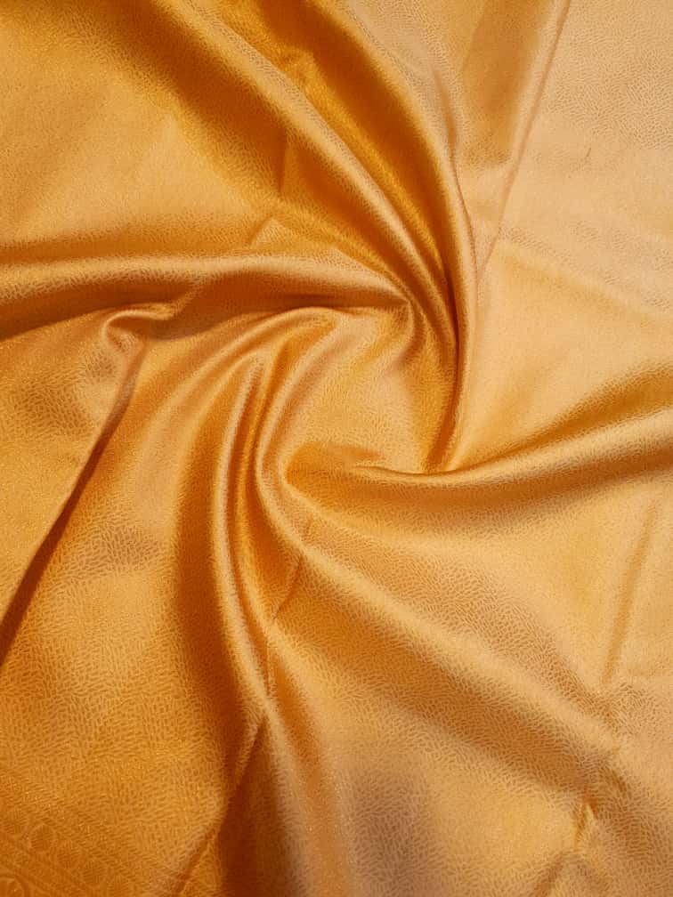 Gold Kanchipuram Handloom 2G Gold Brocade Pattu Silk Saree