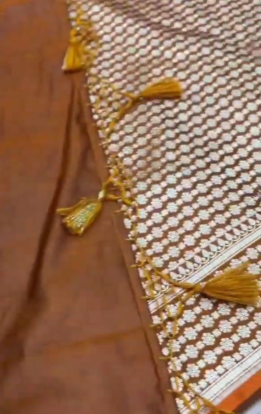 Orange Banarasi Satin Katan Silk Swarovski Jangla Saree