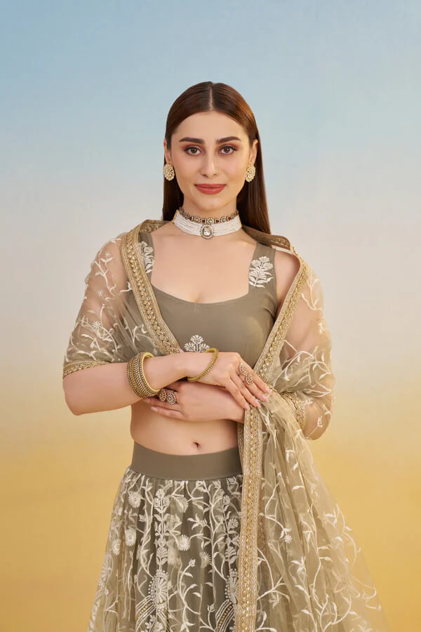 Dark Beige Net Embroidered Lehenga Choli with Sequins
