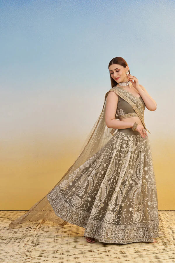 Dark Beige Net Embroidered Lehenga Choli with Sequins