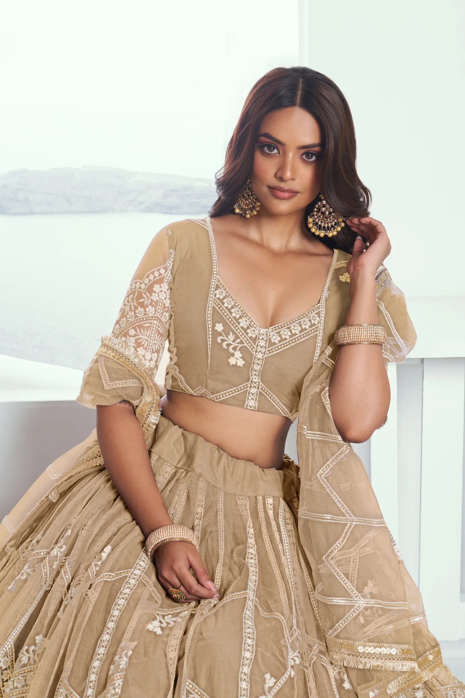 Beige Sequins Thread Embroidered Net Lehenga Choli