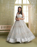 Light Gray Thread Sequins Embroidery Net Lehenga Choli