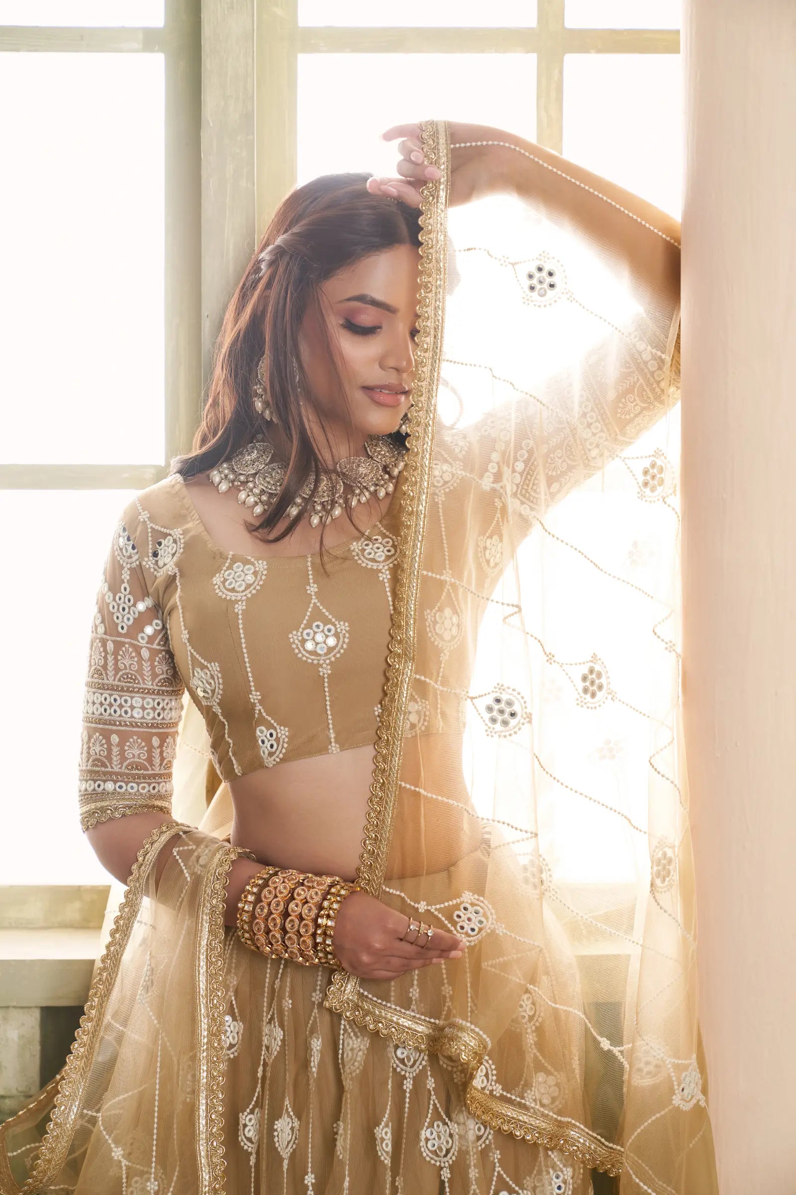 Beige Thread Sequins Embroidery Net Lehenga Choli