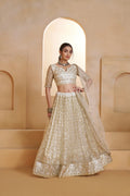 Ivory Gold Beads Sequins Embroidery Net Lehenga