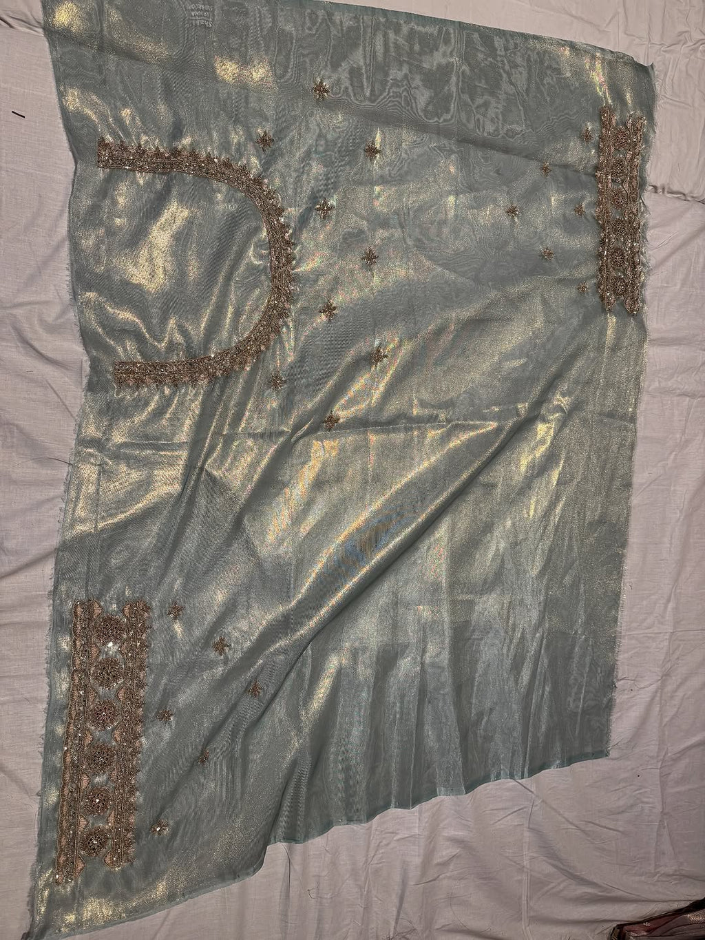 Powder Green Hand Embroidered Tissue Organza Silk Saree