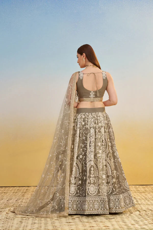 Dark Beige Net Embroidered Lehenga Choli with Sequins