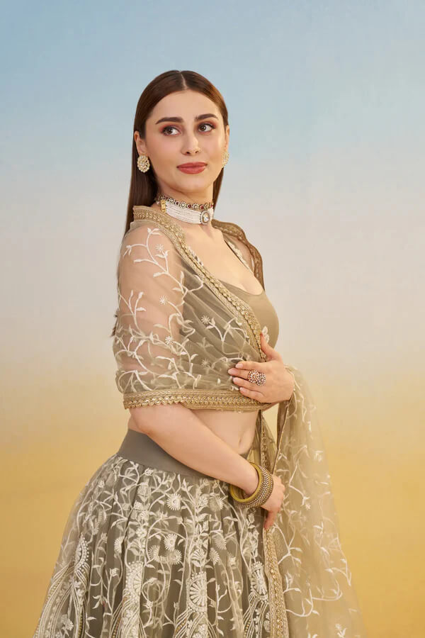 Dark Beige Net Embroidered Lehenga Choli with Sequins