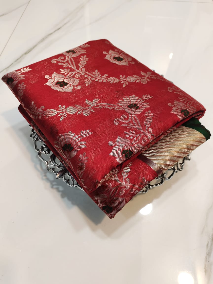 Red Chanderi Handloom Pattu Silk Handwork Saree featuring intricate Meenakari jaal all over