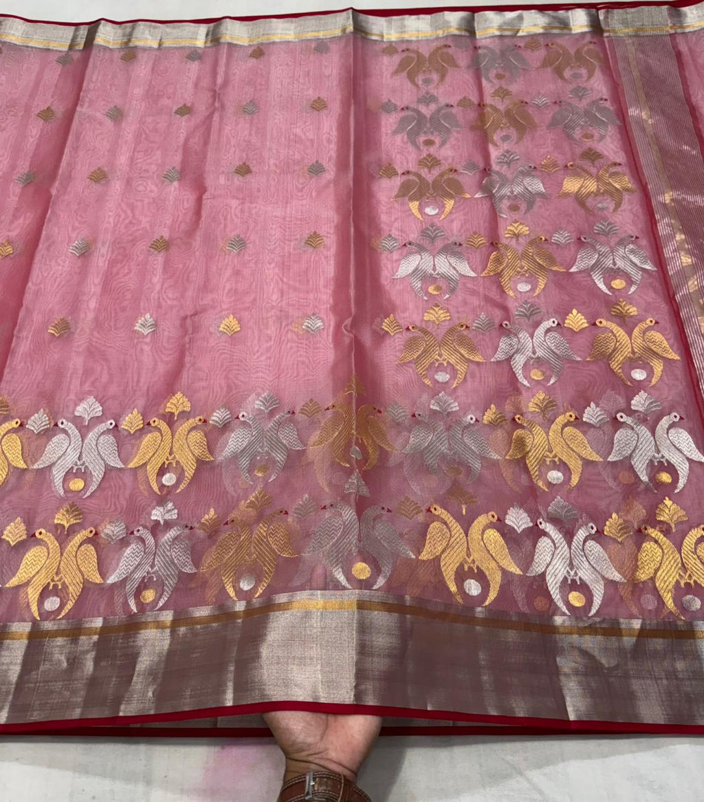 Delicate pink Chanderi handloom Katan silk saree featuring traditional sheer texture and intricate zari craftsmanship, draped beautifully.