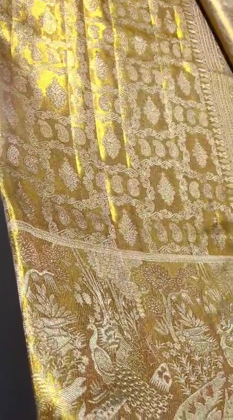 Gold Kanchipuram Handloom Tissue Brocade Silk Saree, a garment that defines the "liquid gold" look of South Indian royalty. 