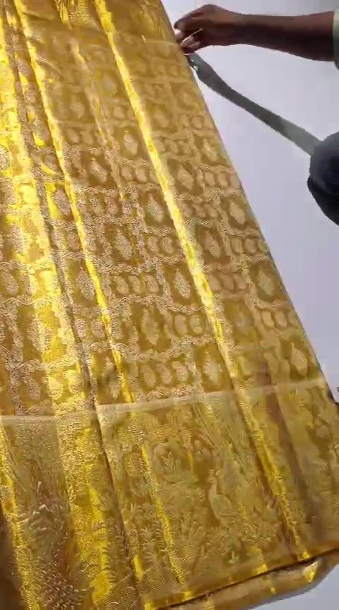 Gold Kanchipuram Handloom Tissue Brocade Silk Saree, a garment that defines the "liquid gold" look of South Indian royalty. 