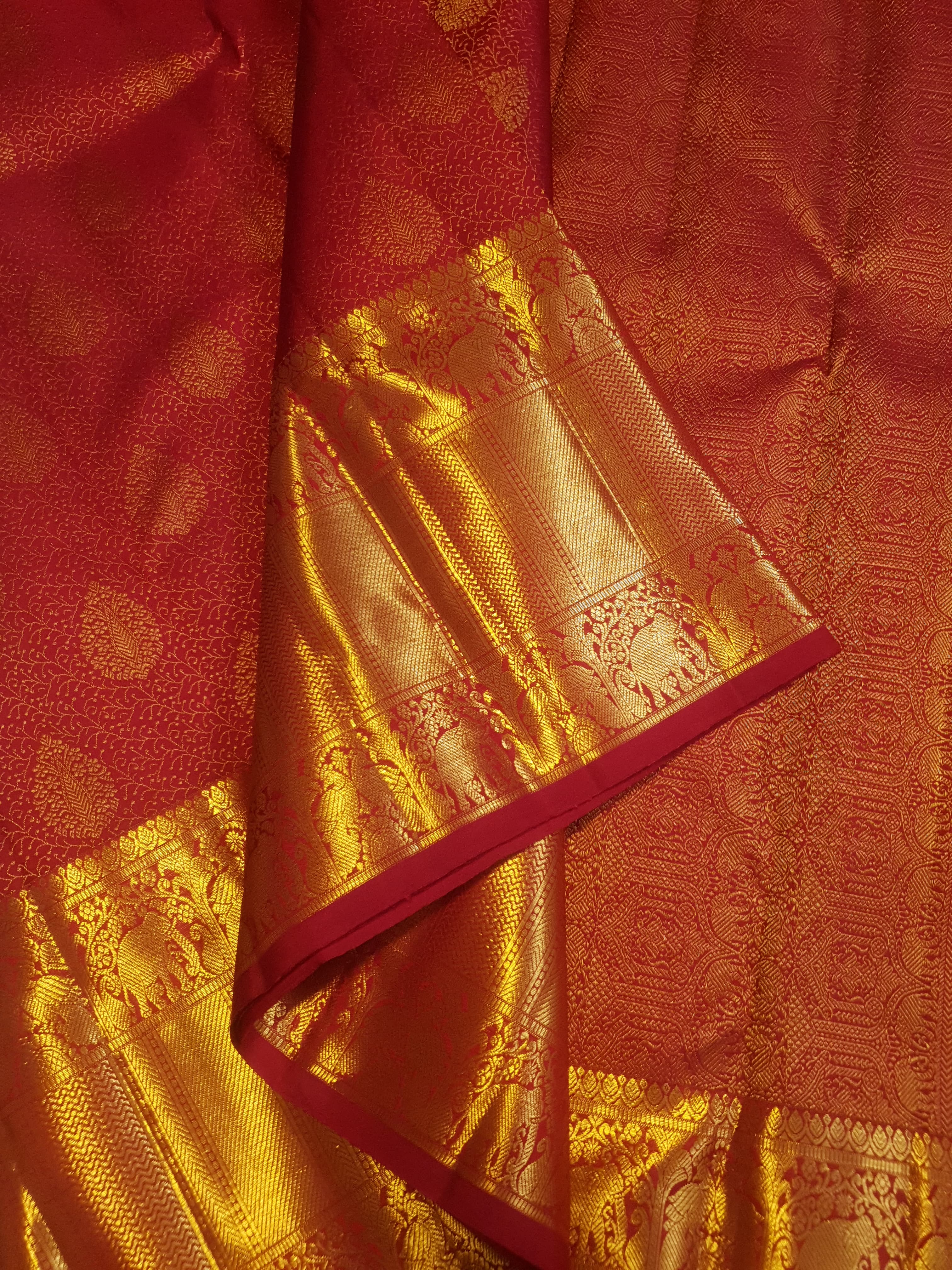 Chilly Red Kanchipuram handloom 2G gold pattu silk saree featuring traditional gold zari weaving and rich elephant and floral motifs.