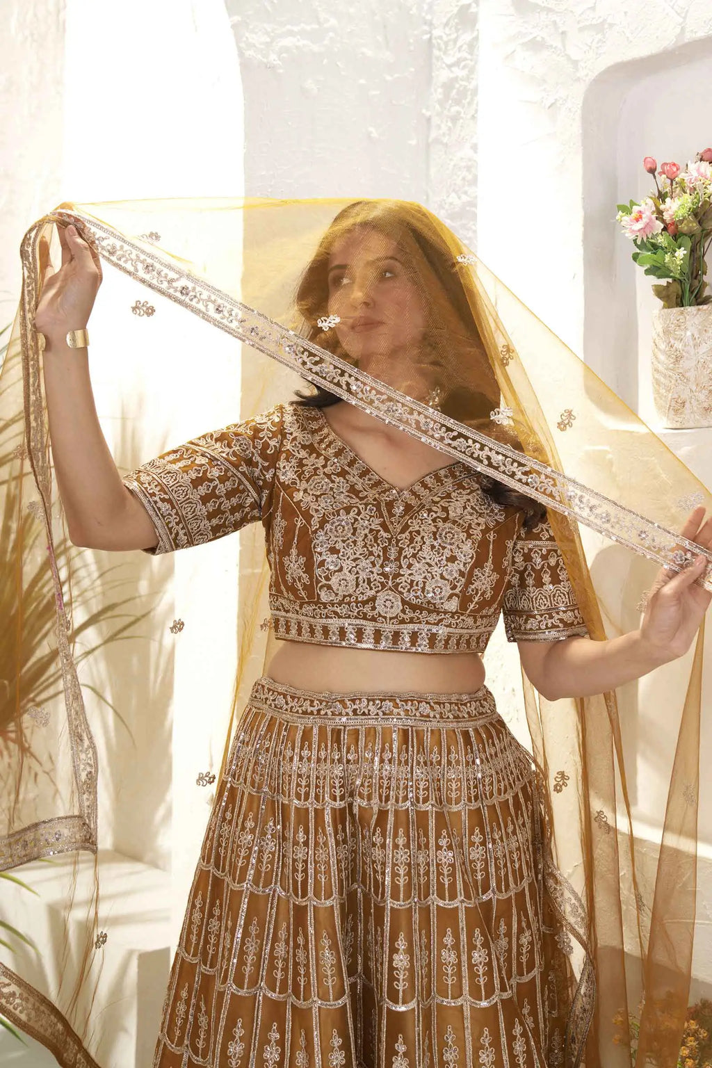 Light Brown Net Lehenga With Sequins Embroidery