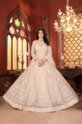 Beige Net Lehenga With Shining Thread Embroidery
