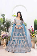 Sky Blue Net Lehenga With Shining Thread Embroidery