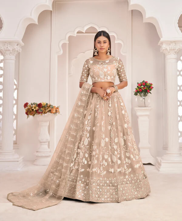 Elegant Beige Net Embroidered Lehenga Choli