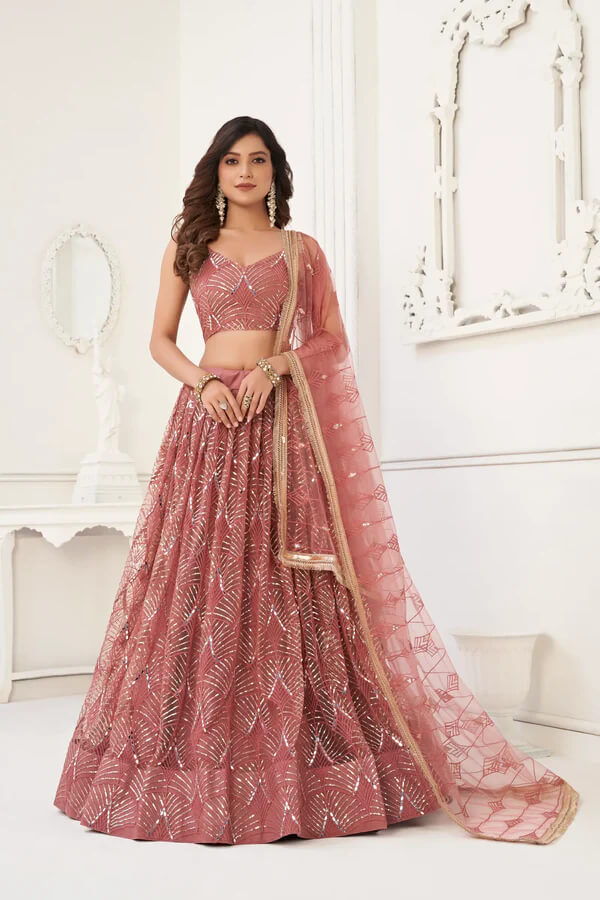 Dusty Onion Embroidered Net Lehenga Choli