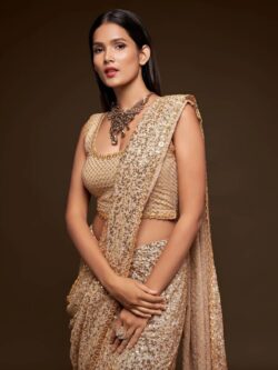 Ivory Thread and Multiple Sequins Embroidered Georgette Designer Saree