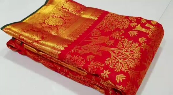 Silk Mark Certified Red Dual Tone Kanchipuram Handloom Pure 2G Gold Zari Pattu Silk Bridal Saree