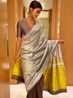 Gold, Brown and Silver Chanderi Pure Handloom Pure Pattu Silk Contemporary Striped Saree
