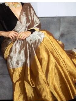 Gold & Silver Chanderi Handloom Tissue Silk Saree