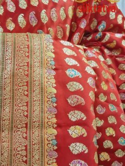 Red Banarasi Handloom Katan Silk Real Gold Zari Bridal Saree