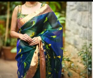 Dual Tone Peacock Color Chanderi Handloom Pure Katan Silk Meenakari Buttas Gold Zari Borders Saree