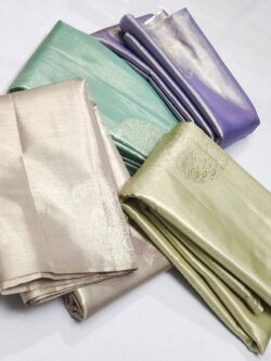 Pastel Shades Kanchipuram/Kanjivaram Handloom Self Design Weaving Borderless Pure Tissue Silk Sarees