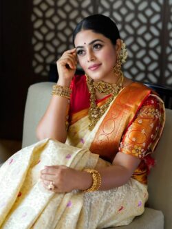 Pastel Lemon and Red Kanchipuram/Kanjivaram Handloom Kuttu Meenakari Brocade Bridal Silk Saree